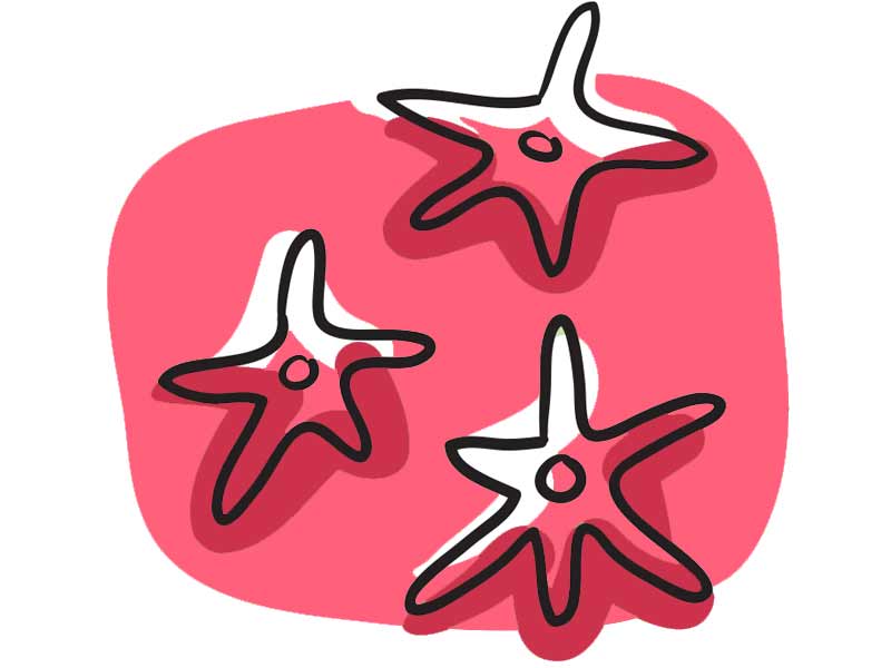 dendritic-cells